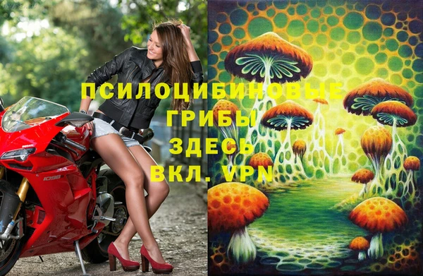 тгк Алзамай