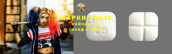 стаф Алексин