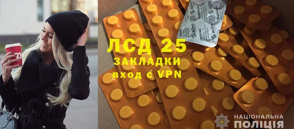 стаф Алексин