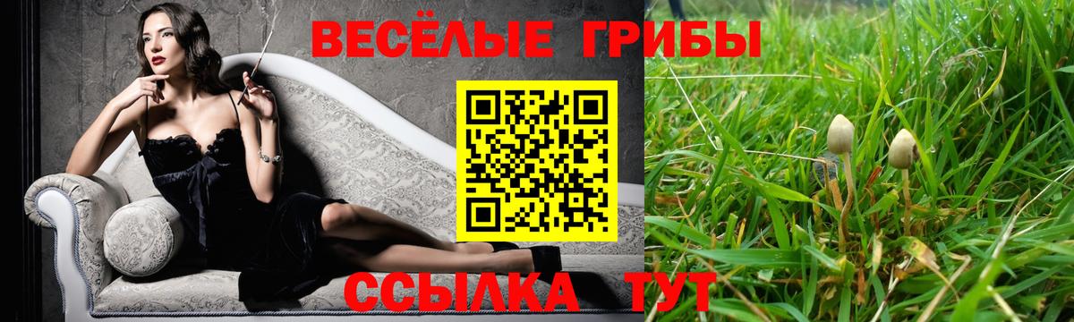 Галлюциногенные грибы GOLDEN TEACHER Анжеро-Судженск