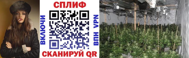 МАРИХУАНА LSD WEED  Анжеро-Судженск 
