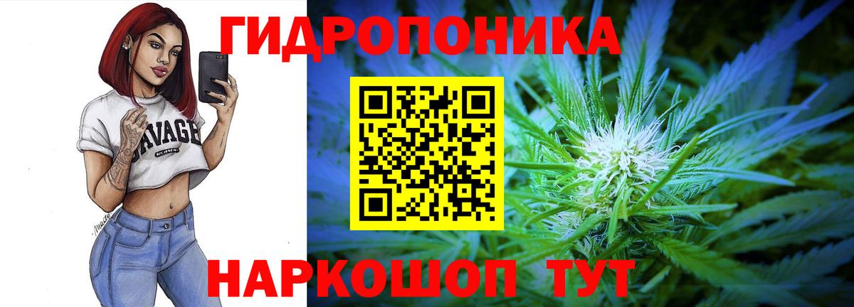 Бошки марихуана гибрид  Шишки марихуана Bruce Banner  Вход с VPN  Бошки Шишки VHQ  Анжеро-Судженск 
